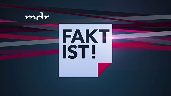 Fakt ist! Logo