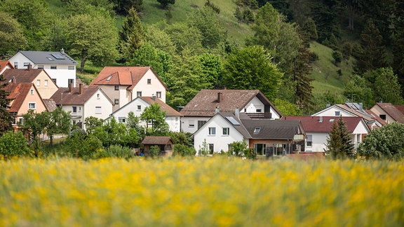 Eine Blumenwiese blüht im Vordergrund eines Wohngebiets.