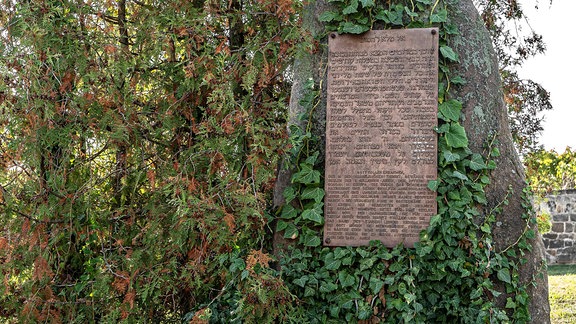 Gedenkstein für den 1938 zerstörten Jüdischen Friedhof von Ballenstedt