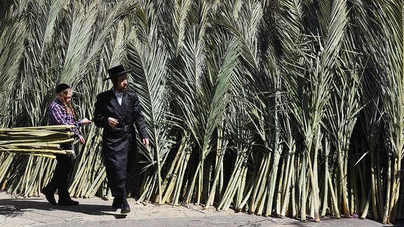 Laubhüttenfest in Israel Ultra-Orthodox