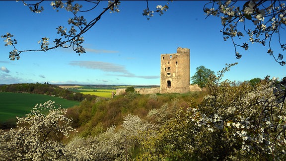 Ruine Arnstein