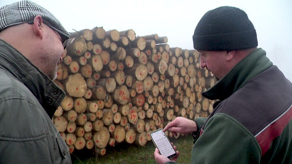 Forstmitarbeiter demonstriert digitale Holzerfassung von eingeschlagenem Holz