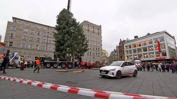 Aufstellung des Weihnachtsbaumes in Halle