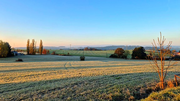 Morgen in Rotschau