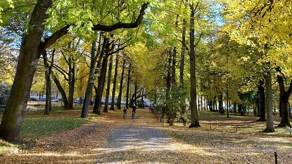 Sieglinde Herbstwald