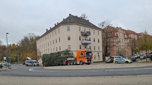 Weihnachtsbaumtransport Dresden