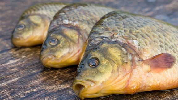 Drei Fische liegen auf einen Tisch.