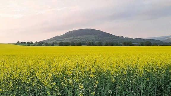 Pöhlberg bei Annaberg-Buchholz