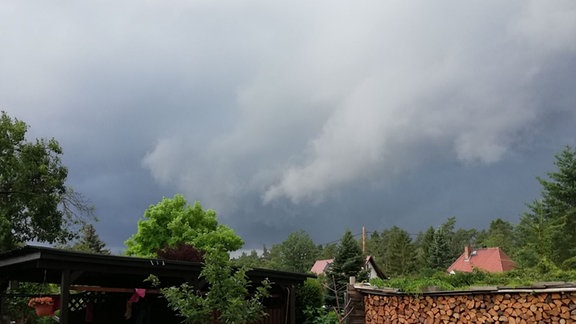 Grauer Himmel über einem Garten.