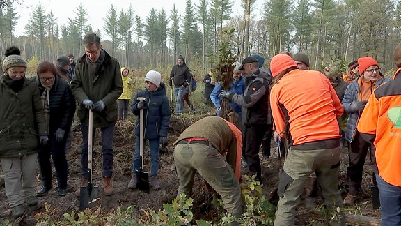 Menschen pflanzen junge Bäume in einem Wald