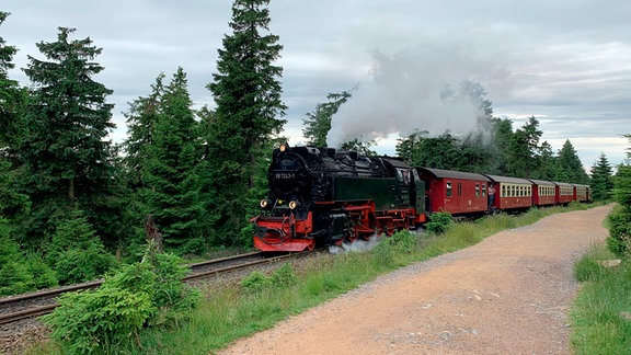 Die Brockenbahn mit grünen Tannen im Hintergrund