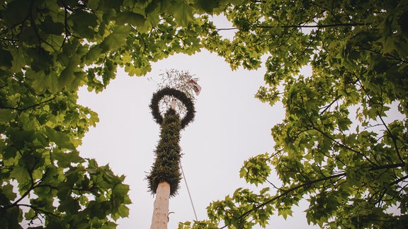 Maibaum