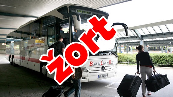 bus žort