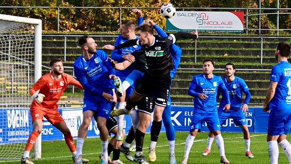 VSG Altglienicke - VFC Plauen, Spieler auf dem Feld