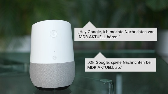 Ein weißes Google Home Gerät steht auf einem Glastisch. Im Hintergrund sind Grünpflanzen zu sehen.