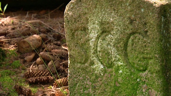 Grenzstein am Rennsteig