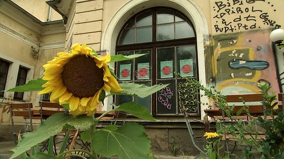 Teil der Außenfassade Kulturquartier Erfurt