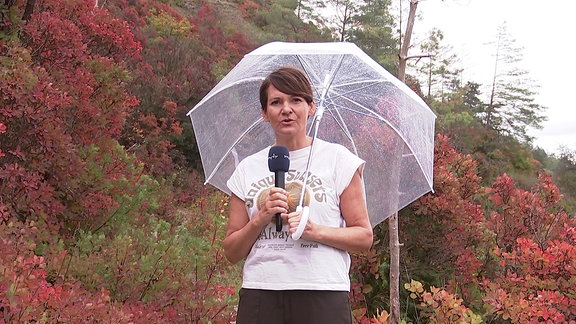 Wetterreporterin Jana Hildebrandt mit Regenschirm vor verfärbten Bäumen und Sträuchern