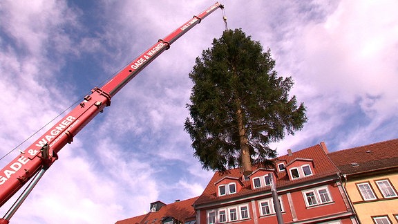 Weihnachtsbaum hängt am Kran