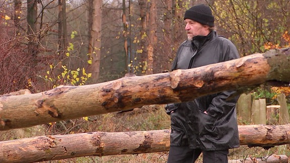 Mann zwischen umgefallenen kahlen Baumstämmen