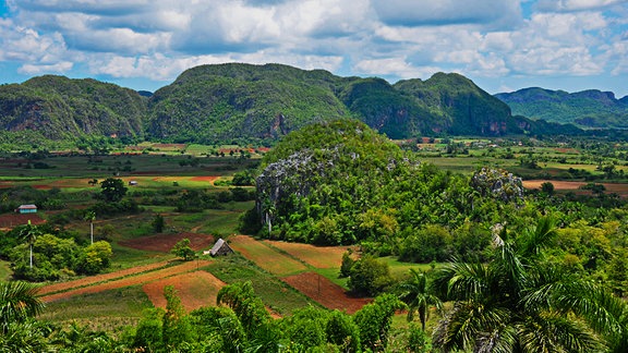 Landschaft auf Kuba