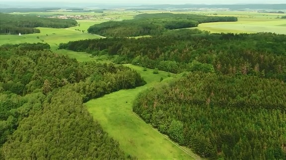 Blick über Wald, Felder und eine Stadt aus Vogelperspektive.