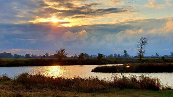 Mit der Havel vor der Haustür hat Garz eine Menge Natur. Die Flusslandschaft "Untere Havelniederung" ist das größte zusammenhängende Feuchtgebiet im Binnenland. Weit über 1000 Arten, wie Biber, Fischotter und Wildvögel lassen es sich hier gut gehen. 