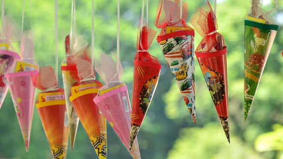 Kleine Zuckertüten hängen an einem Zuckertütenbaum