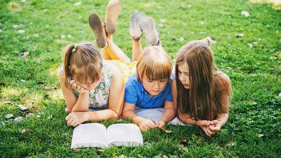 Kinder Sommer Buch