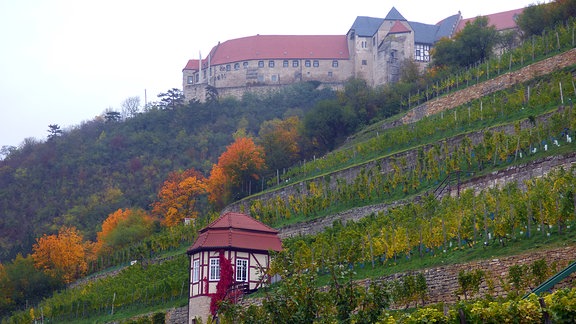 Das Schloss Neuenburg ist das Wahrzeichen von Freyburg