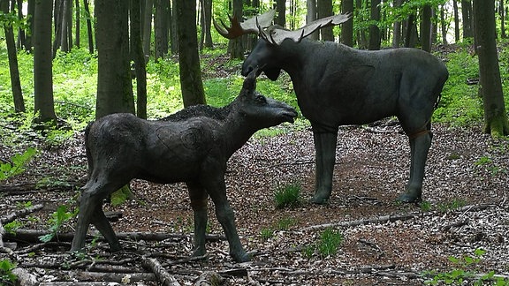 Zwei Holzhirsche als Jägerzielscheibe