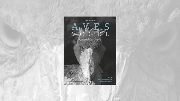 Cover Aves Vögel