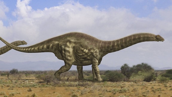 Apatosaurus louisae aus der Gattung Brontosaurus in einer Landschaft des späten Jura in Nordamerika