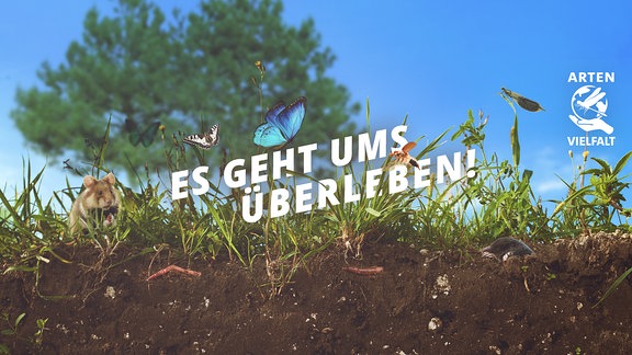 Bodenstück mit bedrohten Tierarten, darunter Feldhamster, Schmetterlinge, Regenwurm, Maulwurf und Maikäfer. Im Hintergrund zeichnet sich ein Baum vor blauem Himmel ab. 