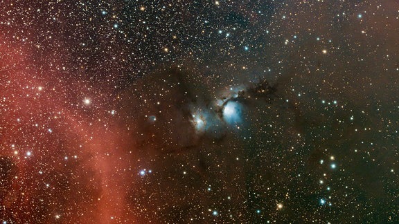 Kategorie: Bester Newcomer  Messier 78 © David Loose  Messier 78 ist ein Reflexionsnebel in der Nähe von Orion. Das Bild enthält auch die Nebel NGC 2064, NGC 2067 und NGC 2071.   Aufgenommen mit einer ZWO ASI071MC Pro Kamera, 382 mm f/5,9, 90 x 300 Sekunden Belichtungszeit. Mit einem William Optics Gran Turismo 81 IV Teleskop mit einem Optolong L-Pro Objektiv.  Standort: Blanco, Texas, USA 