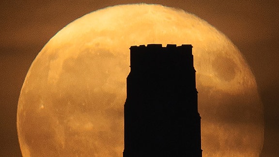 Kategorie: Mensch und Weltall  Tag-Nacht-Gleiche-Mond und Glastonbury Tor © Hannah Rochford  Eine Einzelbelichtung zeigt Menschen, die den „harvest moon“ (Vollmond etwa zu Herbstanfang) genießen, der im September 2021 hinter Glastonbury Tor, einem Hügel mit altem Kirchturm im Vereinigten Königreich aufgeht.   Aufgenommen mit Sigma 150-600 mm Teleskop, SLIK Stativ, Canon EOS 5D Mark II Kamera, 600 mm f/6,37, 1/8 Sekunde Belichtung   Ort: Glastonbury, Somerset, Vereinigtes Königreich 