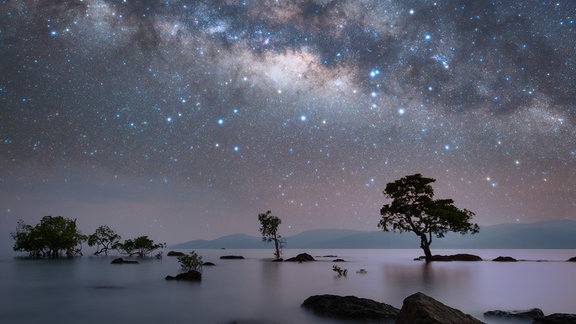 Kategorie: Himmelslandschaften  Küste von Oregon © Marcin Zajac  Die Milchstraße über der südlichen Küste von Oregon, USA. Dieser Ort ist im Sommer notorisch neblig, was es schwierig macht, die Milchstraße hier zu fotografieren  Aufgenommen mit der Nikon D800 Kamera, 35mm f/2, ISO 800, 4-minütige Belichtung.  Standort: Oregon, USA 