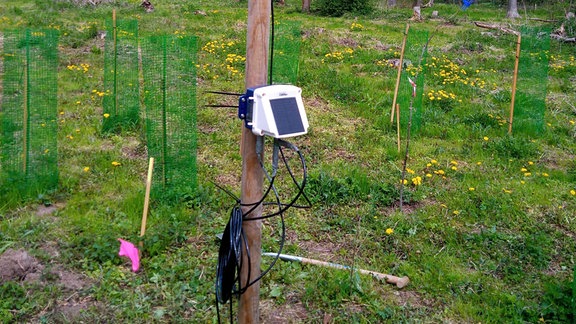 Eine Klimamessstation, ein Klimalogger, ist mit einem Temperatur- und Feuchtesensor in zwei Metern Höhe verbunden. Nach unten führen Kabel zu einem Sensor, der die Bodentemperatur und -feuchte misst. 