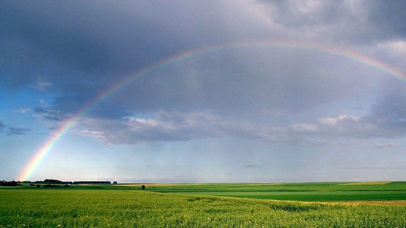 Regenbogen