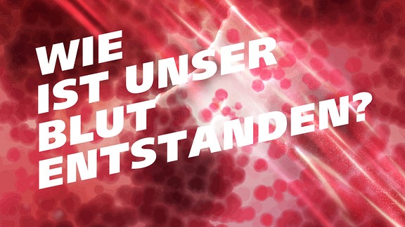 An Blutplasma erinnernde Textur. Schrift: Wie ist unser Blut entstanden?