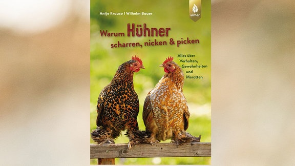 Cover Warum Hühner scharren 