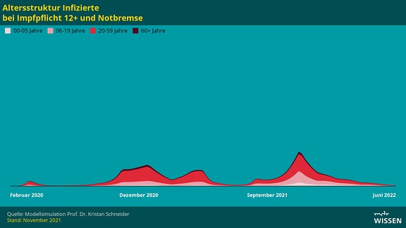 Altersstruktur Infizierte bei Impfpflicht 12+ und Notbremse
