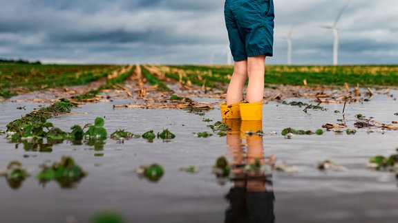 Kind sichtbar bis Hüfte steht mit gelben Gummistiefeln tief im Wasser in Sojafeld, das zum Teil unter Wasser steht. Im Hintergrund undscharf Windräder