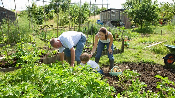 Familie bei der Gartenarbeit