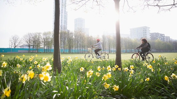 Zwei junge Männer radeln im Park, im Vordergrund zwei junge Bäume und Narzissen, im Hintergrund Wiese sowie kahle Bäume und einige Wohnhochhäuser