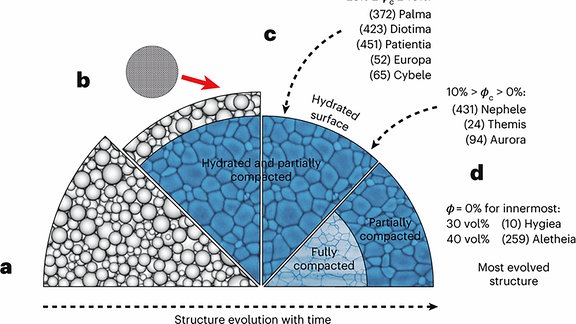 Entwicklung der Struktur des Asteroideninneren von links nach rechts sowie die erhaltenen endgültigen Strukturen: (a) Asteroiden entstehen als lose Agglomerate aus trockenen Staub- und Eispartikeln; (b) die Erwärmung des Inneren löst Hydratation und fortschreitende Verdichtung aus; (c) Streifeinschläge entfernen dann die verbleibende lose Oberflächenschicht und legen eine hydratisierte Oberfläche frei; (d) einige Asteroiden entwickeln sich zu einem Stadium, das durch vollständig verdichtete zentrale Regionen gekennzeichnet ist. Die endgültigen Strukturen reichen von Strukturen, die durchgehend porös sind bis hin zu vollständig verdichteten Innenräumen, die von hochporösen Außenschichten überlagert werden.