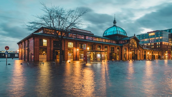 Altonaer Fischmarkt-Gebäude beleuchtet, Dämmerung, im Vordergrund Überflutung bis zum Gebäude