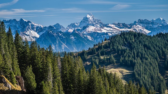 Hochvogel