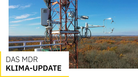 Eine Wettermesstation auf einem Turm über einem herbstlichen Wald.