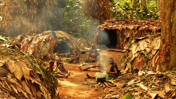 Ein Mbendjele-Lager im Regenwald des Kongo